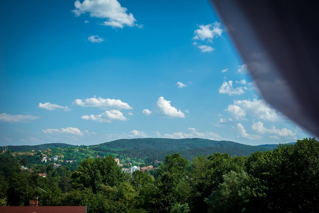 Hotel Danica Vrnjacka Banja Ruang foto